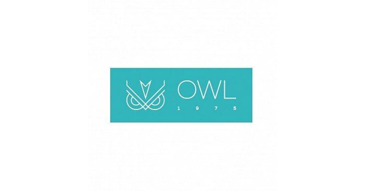 Owl Owl